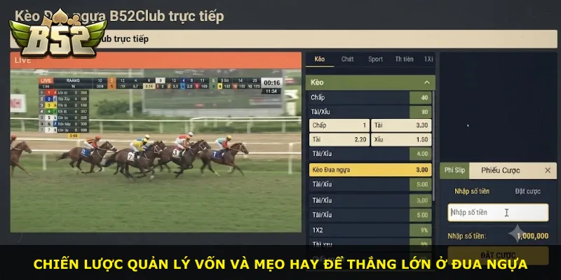 Chiến lược quản lý vốn và mẹo hay để thắng lớn ở đua ngựa